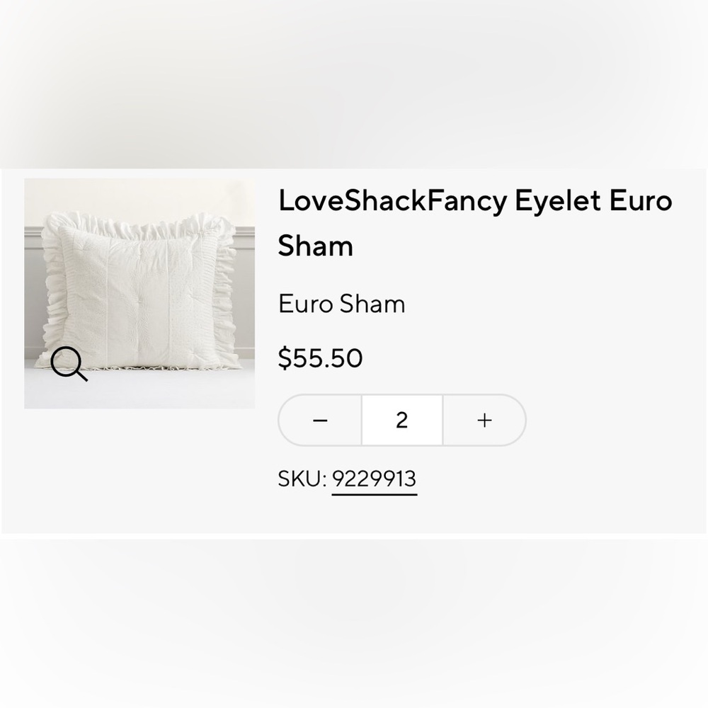 Pottery Barn Teen LoveShackFancy Eyelet Euro Sham